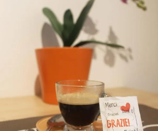 Isolatiberina